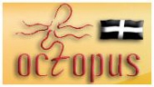 Octopus Octopus