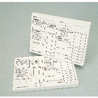 Guildhall Payslip Pad 100Lf P100