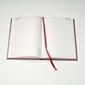 Diary A5 Day to a Page Black 2010