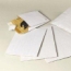 PADDED - Gusset Envelope C5 (Pack of 100)
