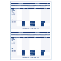 Custom Forms Iris Compatible A4 2 Per Sheet Payslip (Pack 1000) FY95