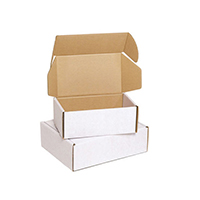 Oyster Mailing Box 220x110x80 Pk25