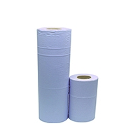 2Work Hygiene Roll Blue 10 Inch Pk24