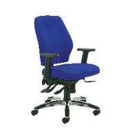 Cappela Agility Hbk Pst Chair Blue