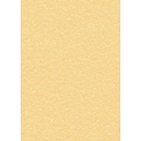 Decadry Parchment Gold A4 L/heads Pk100